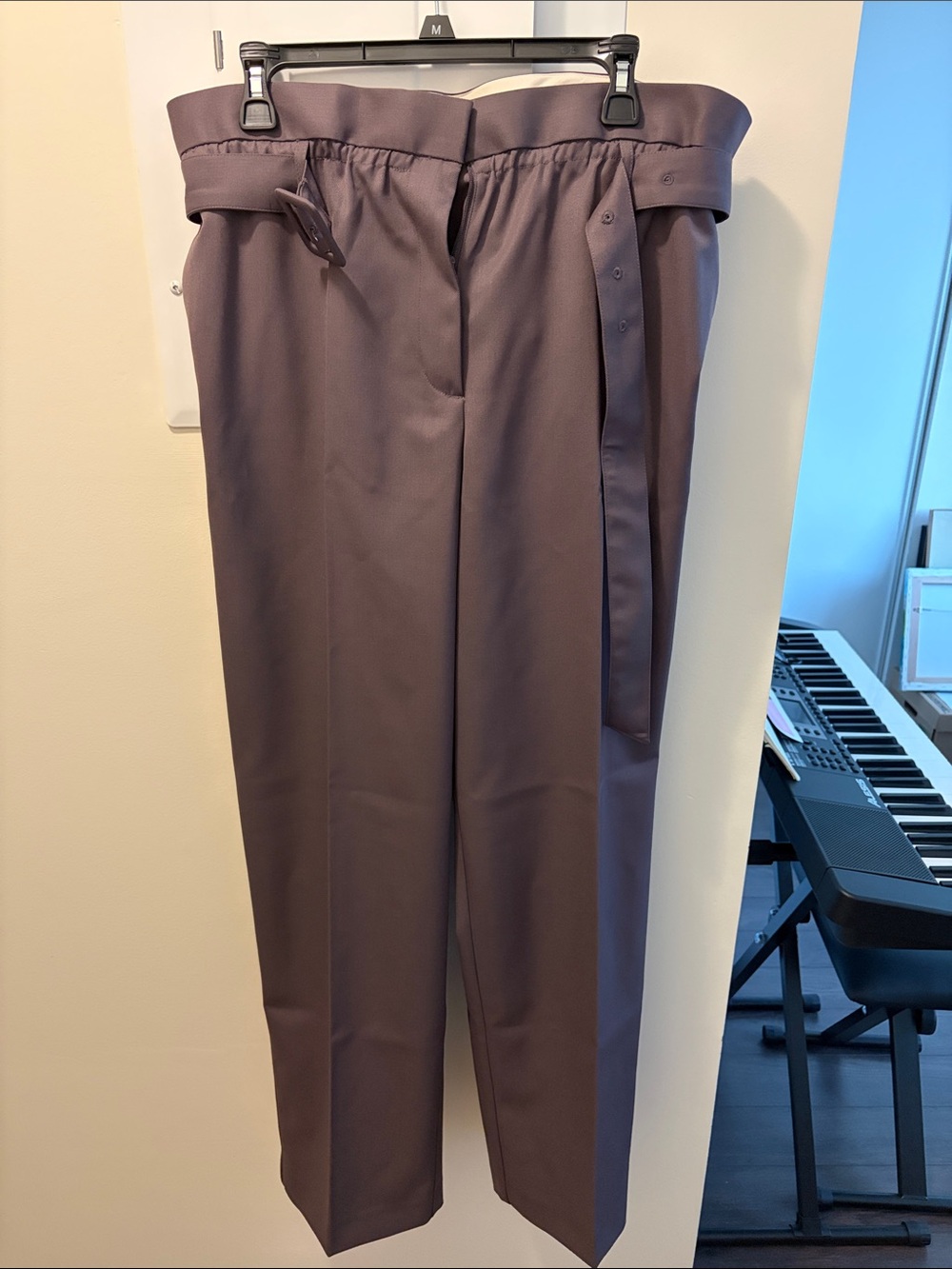 H&M Wool Wide-Leg Paperbag Pants in Plum New!